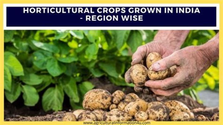 What crops are growing horticulture?