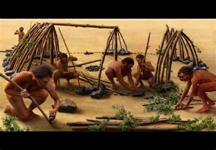 What did early humans use as shelter?