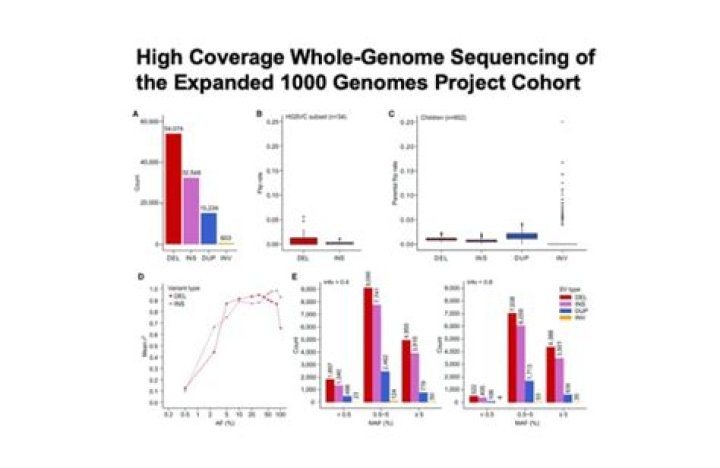 What did the 1000 Genomes Project discover?