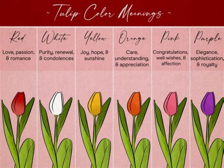 What did the White Tulip mean in Fringe finale?