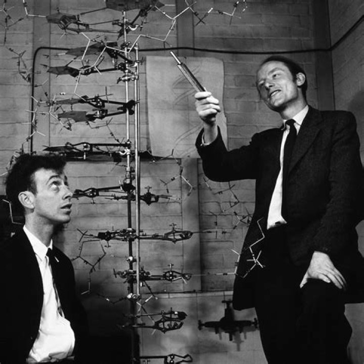 What did Watson and Crick discover in 1953?
