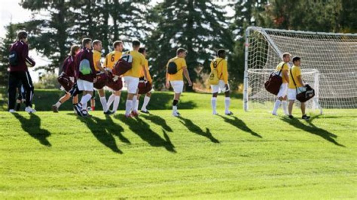 What division is Minnesota Morris soccer?