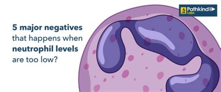 What do low levels of neutrophils indicate?