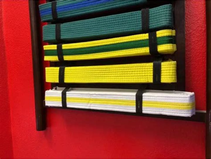 What do stripes mean on karate belts?