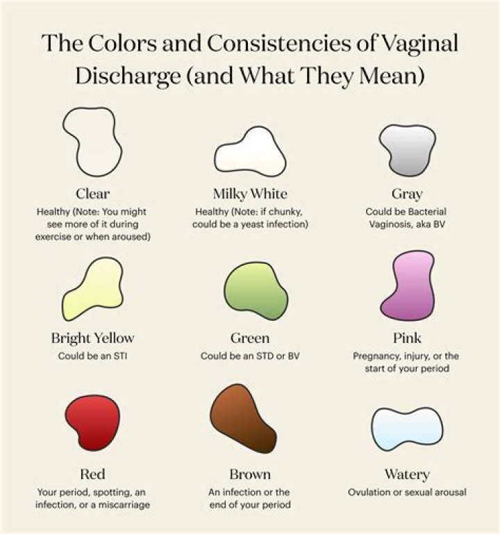 What does a brown line on your belly mean?