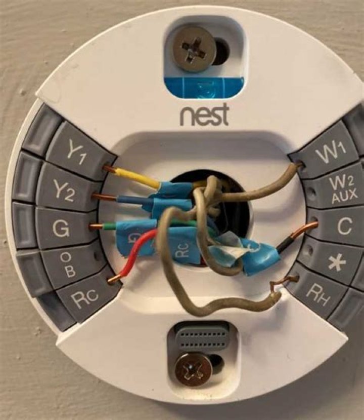 What does a thermostat do for a reptile?