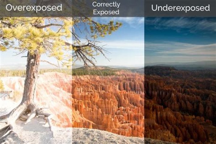 What does an overexposed photo look like?