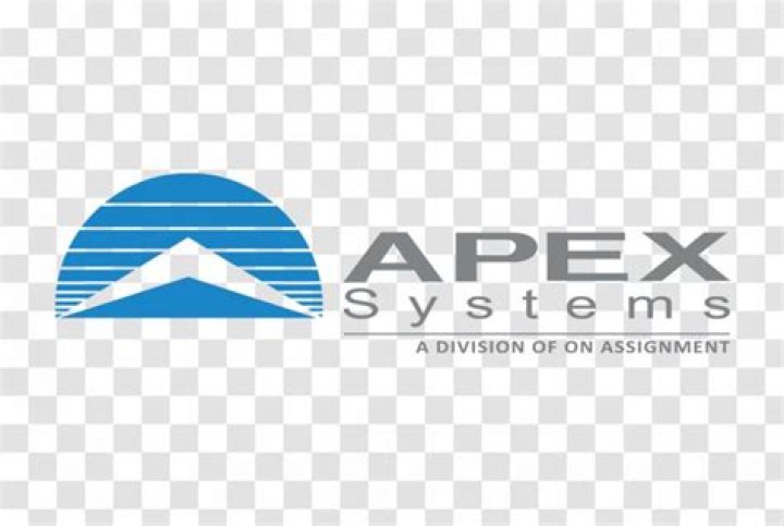 What does Apex Systems Inc do?