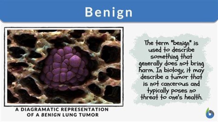 What does benign neoplasm mean?