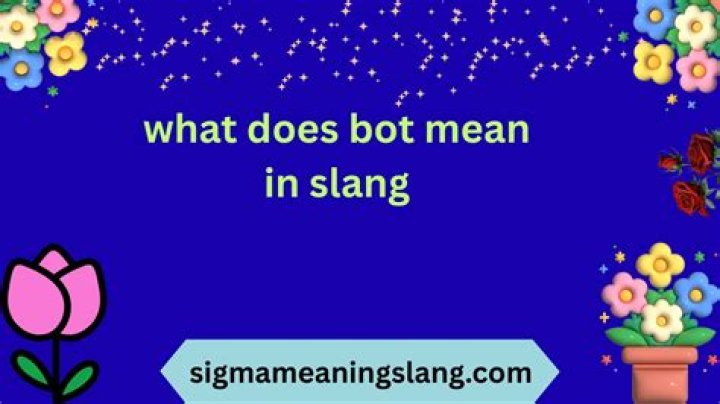 What does BOT slang mean?