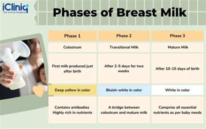 What does breast milk look like in early pregnancy?
