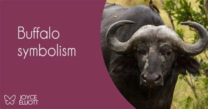 What does Buffalo Soldier represent?