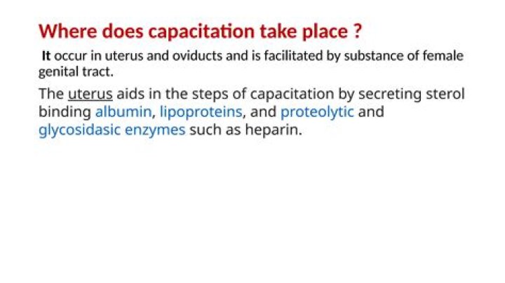 What does capacitation mean?