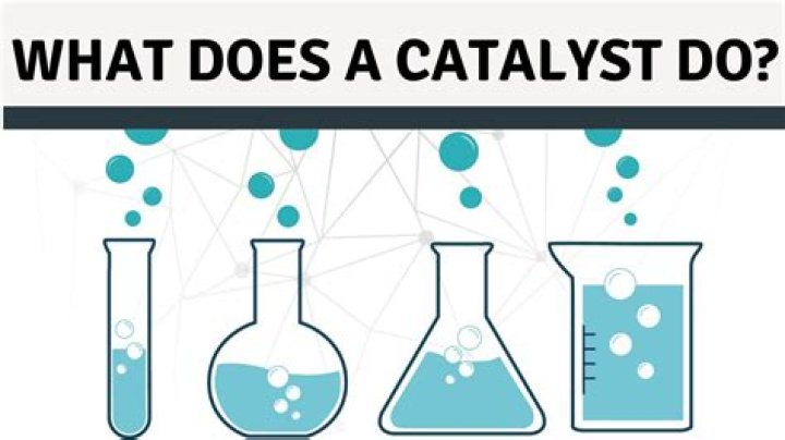 What does catalyst company do?
