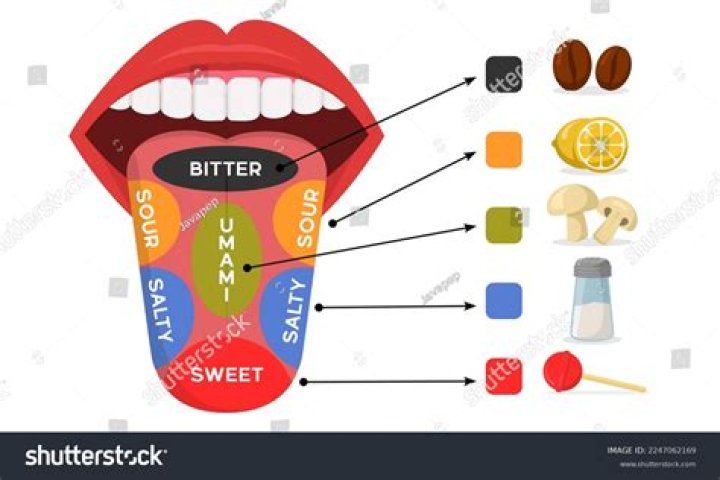 What does Counoise taste like?