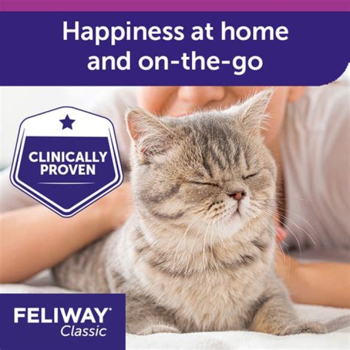 What does feliway classic do?