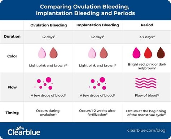 What does it mean when you bleed out of your bum while pregnant?