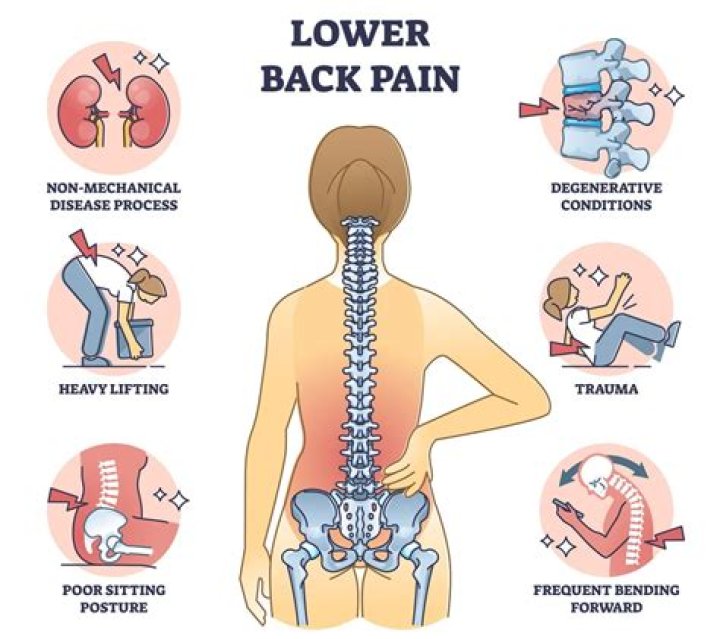 What does it mean when you have back pain and stomach pain?