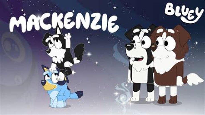 What does Mackenzie and company do?