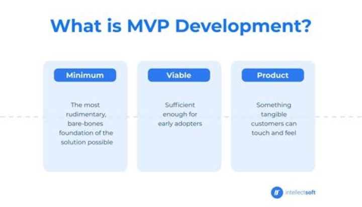 What does MVP stand for in insurance?