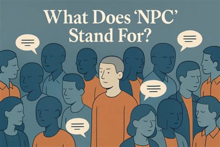 What does NPC stand for in government?