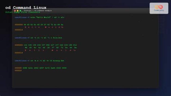 What does objdump output?