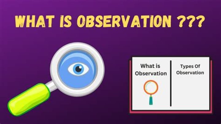 What does observe mean example?