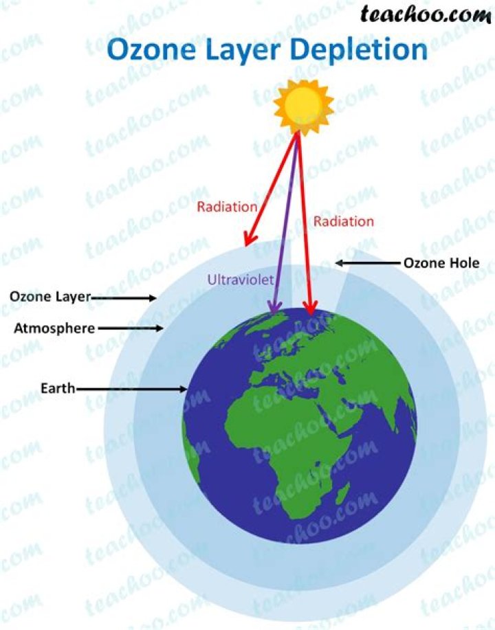 What does ozone depletion mean?