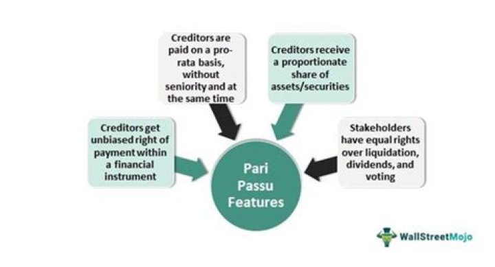 What does pari passu mean in a contract?