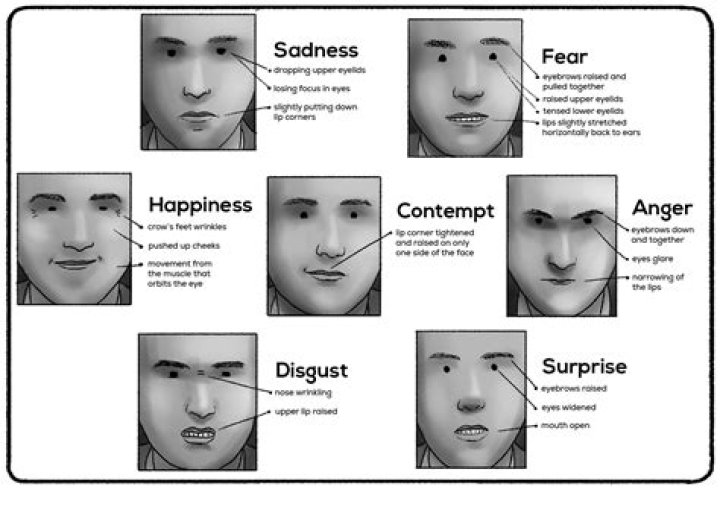 What does the expression dead from the neck up mean?