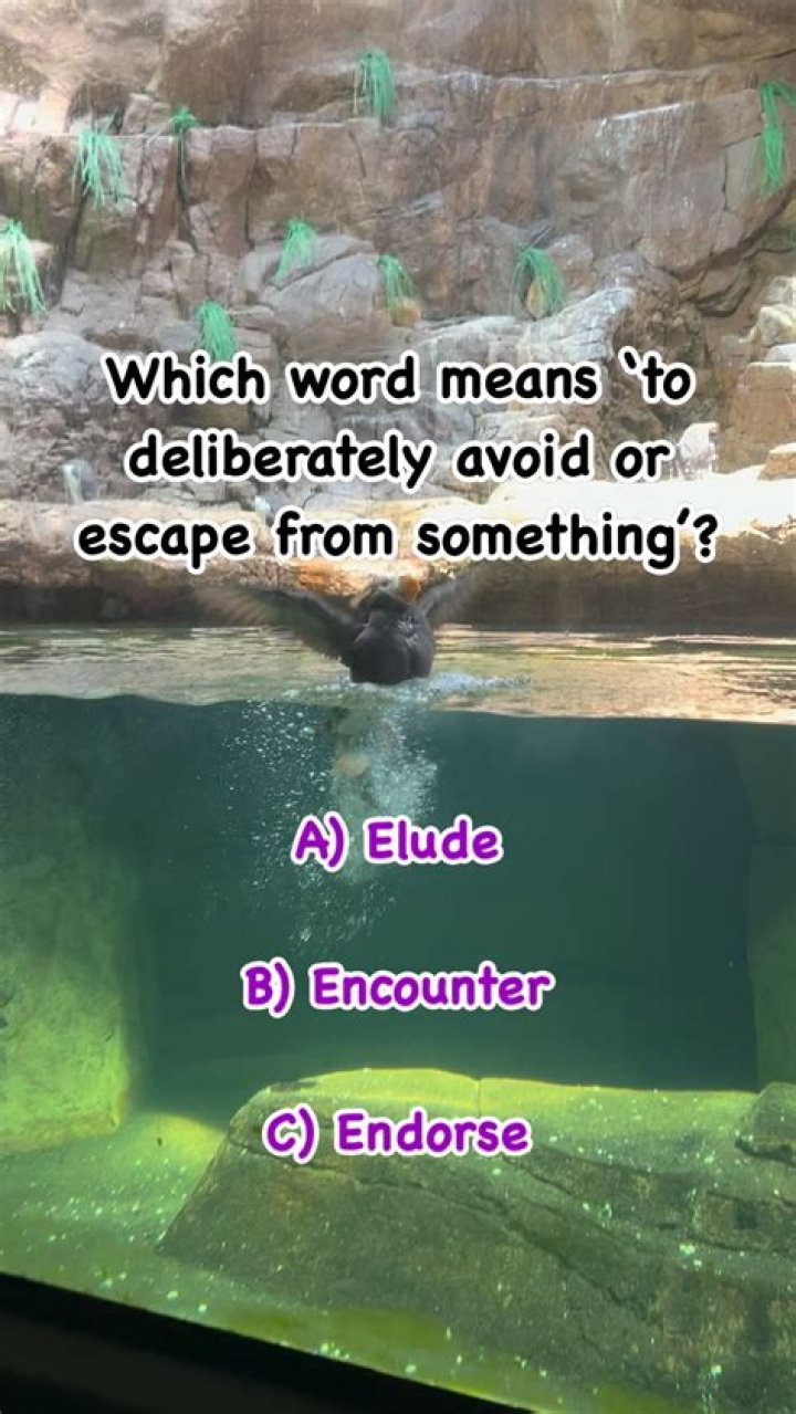 What does the word addled?