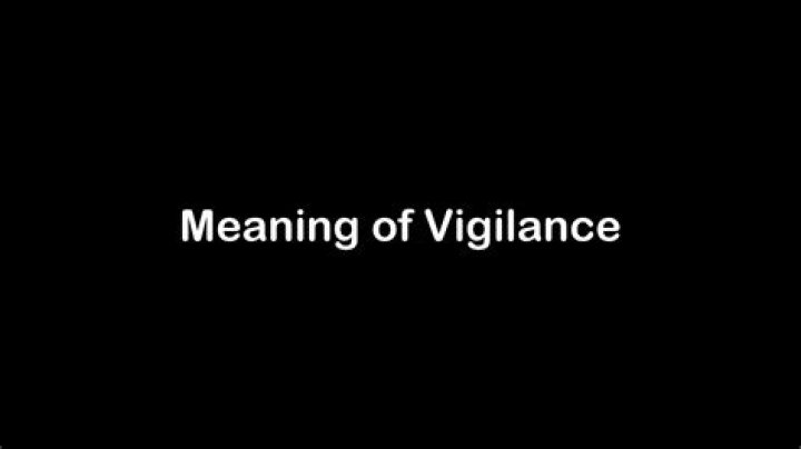 What does vigilant mean?