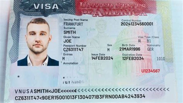 What does Visa Steel do?