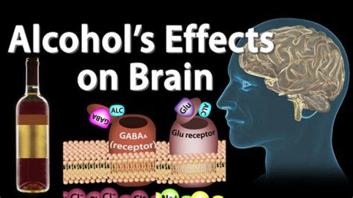 What effects does alcohol have on the brain?