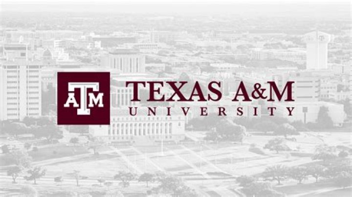 What essays Does Texas A&M require?
