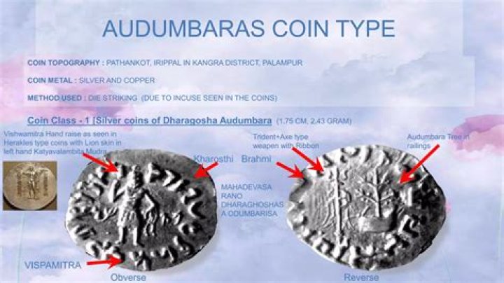 What figure is found on the coins Audumbara rulers?