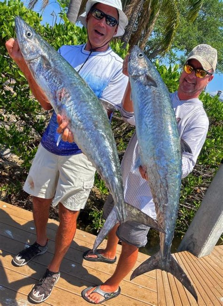 What fish are biting in Tampa Bay now?