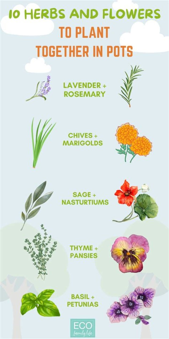 What flowers grow well with herbs?
