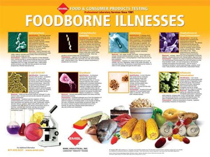 What foodborne illness is associated with pasta?