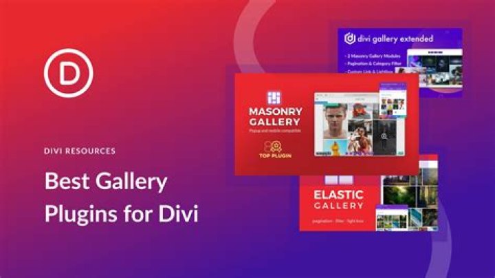 What is a divi gallery?