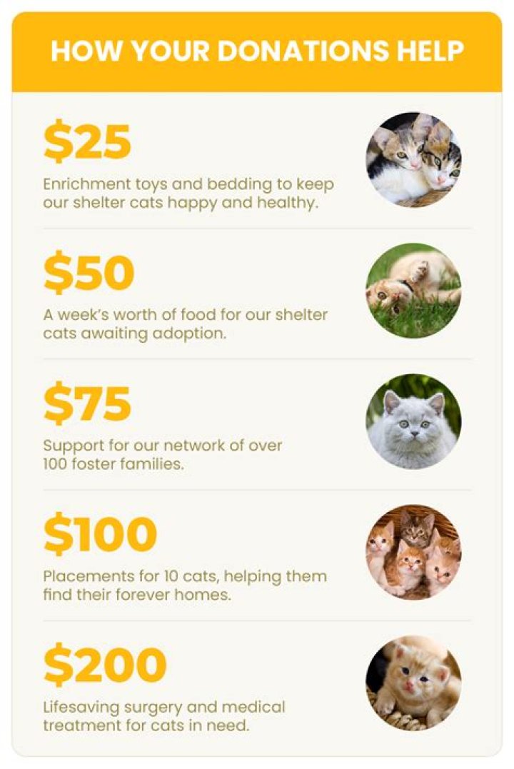 What is a donation circle?