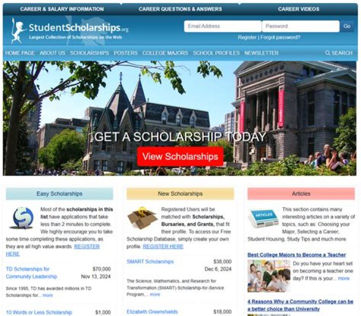 What is a network scholarship?