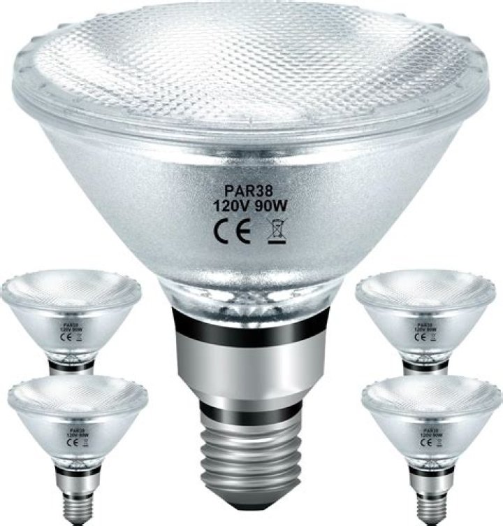 What is a PAR38 bulb?