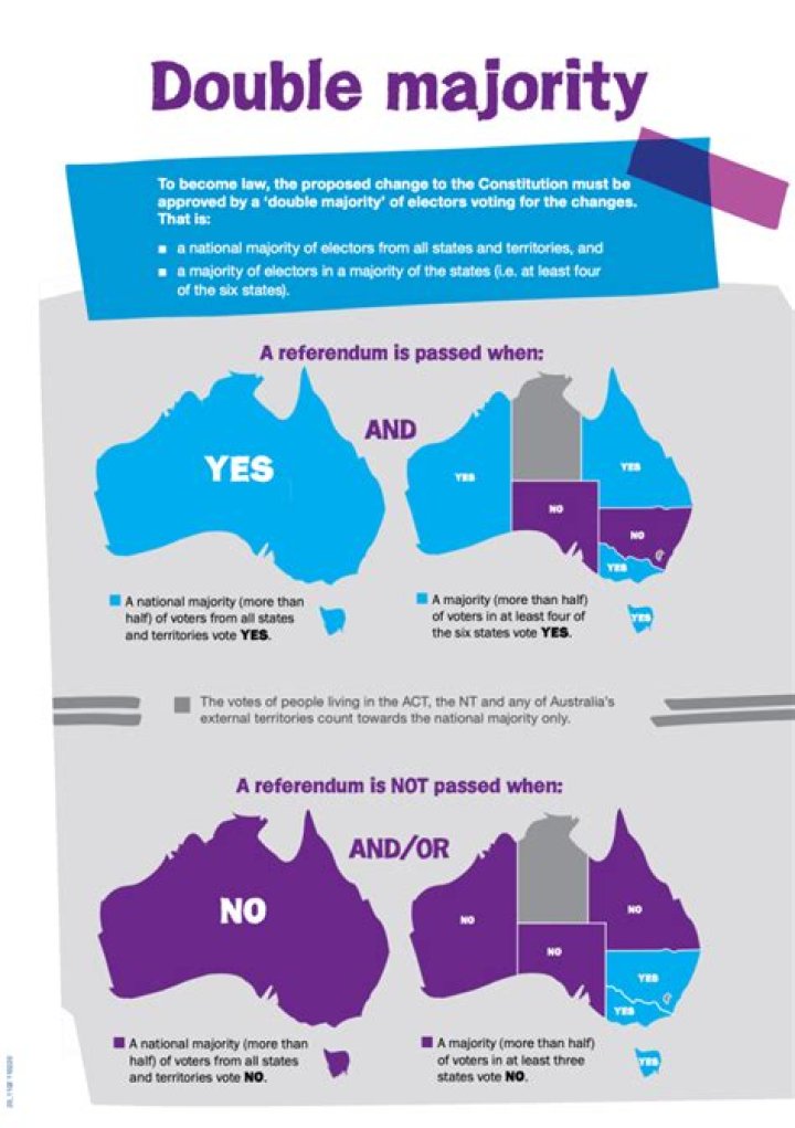 What is a referendum in an election?