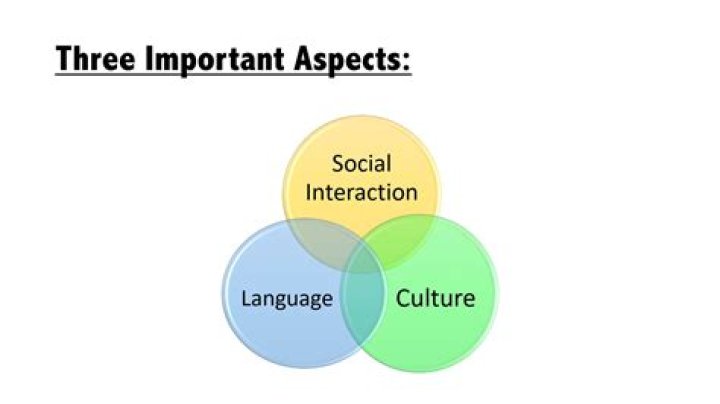 What is a social cultural analysis?