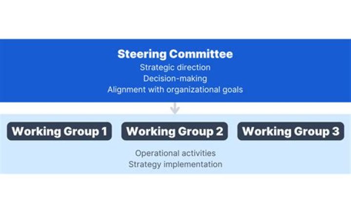 What is a steering committee in organization?