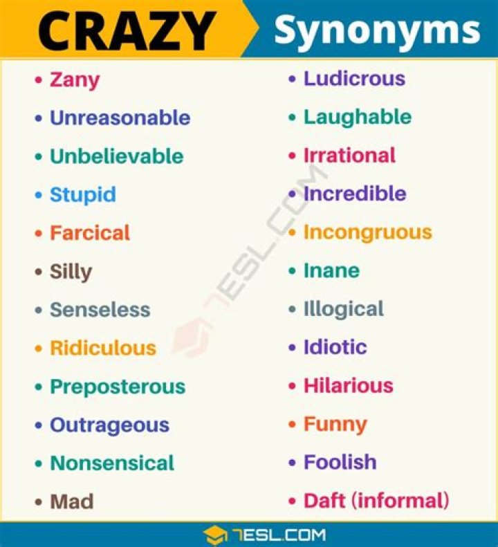 What is a synonym for craziness?