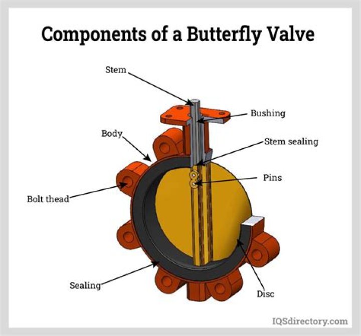 What is a water butterfly valve?