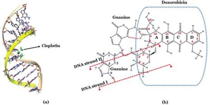 What is adduct formation?