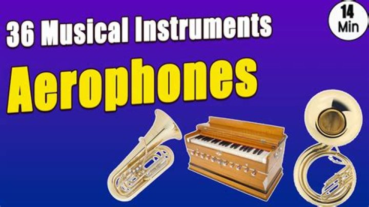 What is aerophone instrument?